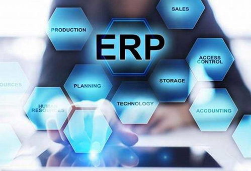 ERP有哪几种应用类型